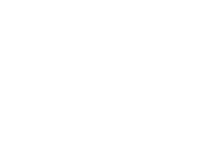 • Expand its business locally and Internationally • Streamline its services • Make more meaningful investments into r...