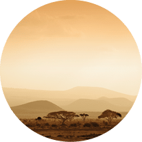 african savannah at sunrise