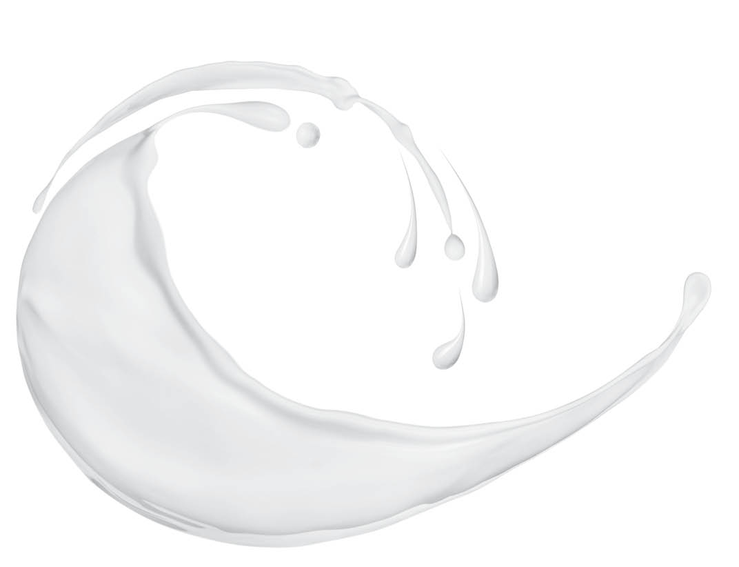 Splash of milk or cream on white background 