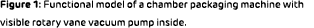 Figure 1: Functional model of a chamber packaging machine with visible rotary vane vacuum pump inside.