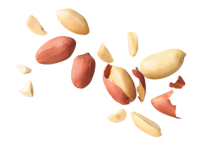organic peanuts salted snack chapped fly in air healthy food  on white isolated with clipping path