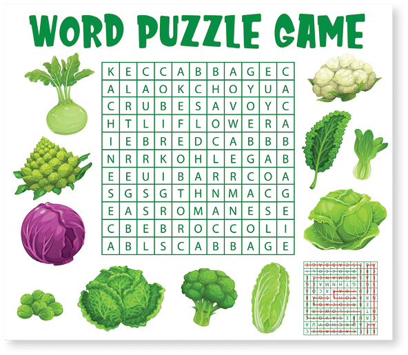 Raw cabbage vegetables, word search puzzle game worksheet, vector kids quiz grid. Riddle to search word in grid with cabbages broccoli, cauliflower and kohlrabi, bok choy and Chinese cabbage