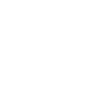 • Your BBBEE certificate level: Only accredited BBBEE certificate levels (Levels 1 7) qualify for rebates. • The HS c...