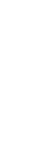 1980s 1990s: A Legacy Continues